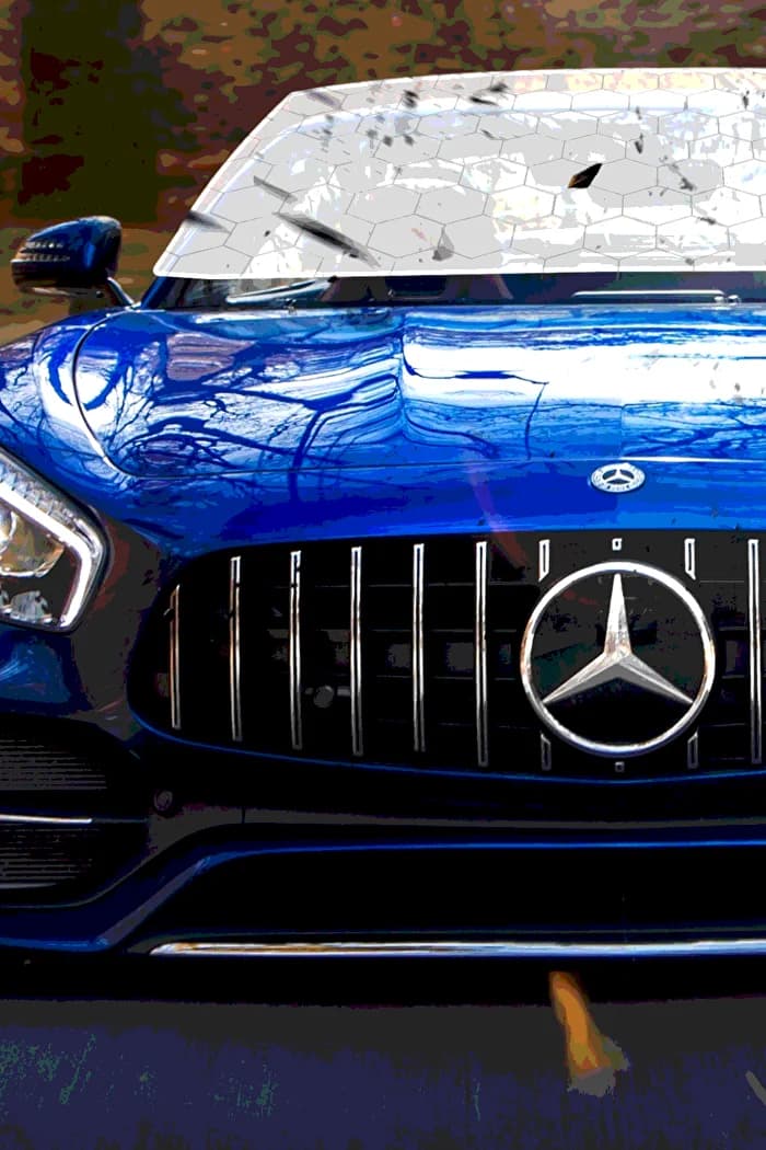 Window Shield